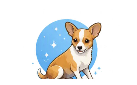 Shanis Grooming & Cuidado Canino